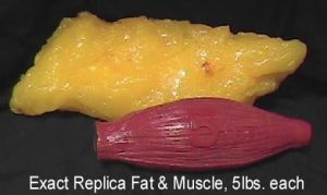 5 lbs of fat versus 5 lbs of muscle