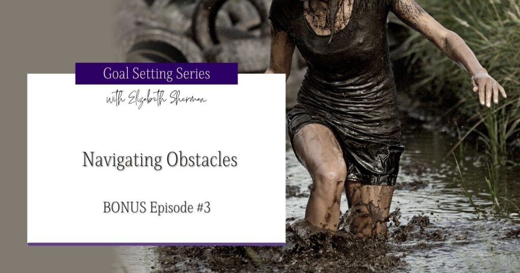 Goal Setting Series #3: Navigating Obstacles